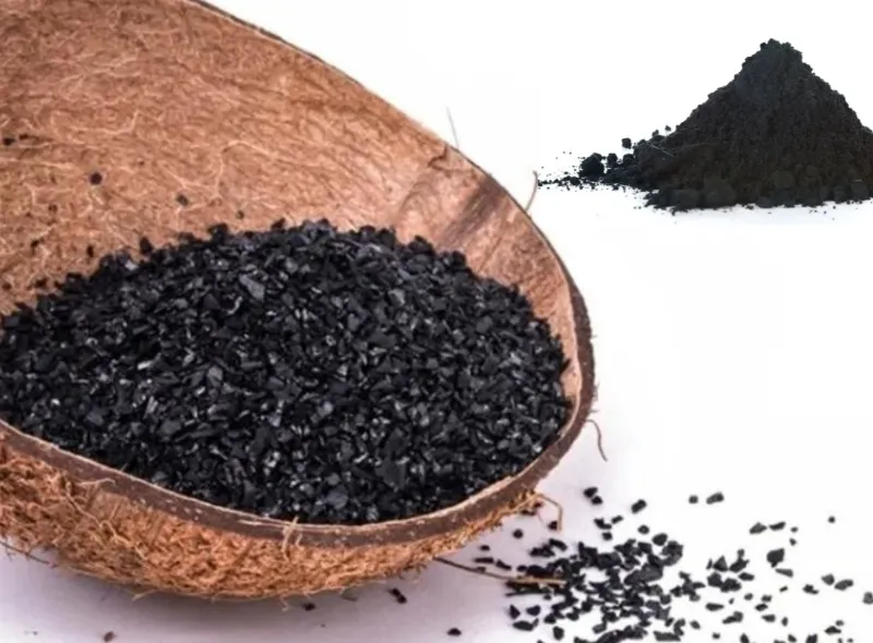 Coconut shell charcoal 2