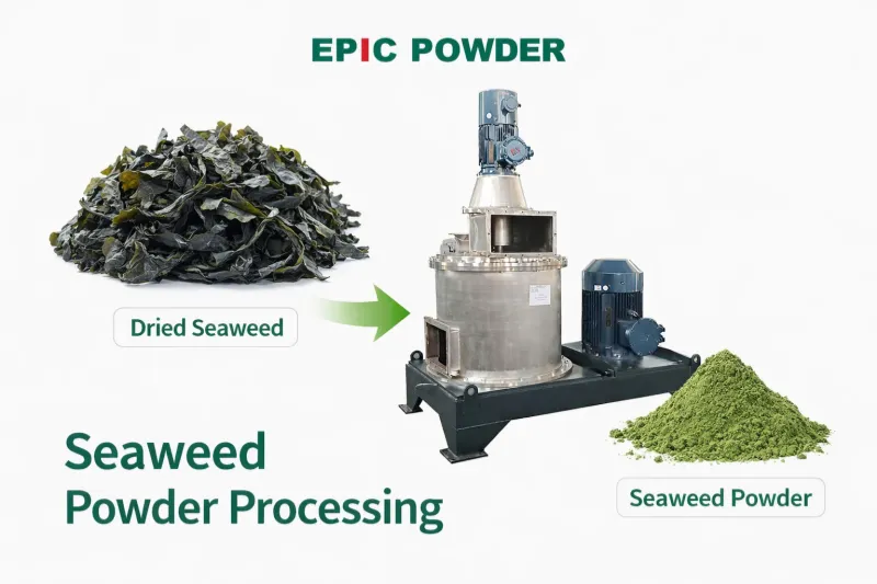 အလွန်သေးငယ်သော ပင်လယ်ရေညှိမှုန့် ကြိတ်စက်